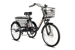 Электровелосипед РВЗ Чемпион 24" 250 Вт 12 Aч трехколесный